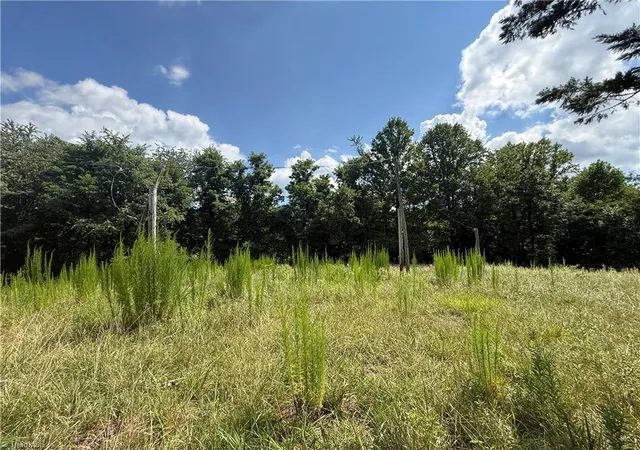 4th image of 00 Mccarther Rd, Mount Airy, NC 27030 | MLS# 1230171