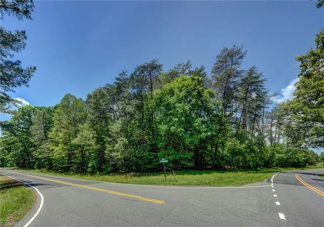 Photo 3 of Sale Pending at 0 Ctr Meeting House Rd, Stoneville, NC 27048 | MLS# 1226797 | Listing updated on 2026-08-04