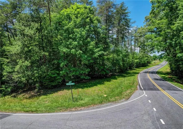 Photo 3 of Sale Pending at 0 Ctr Meeting House Rd, Stoneville, NC 27048 | MLS# 1226797 | Listing updated on 2026-08-04