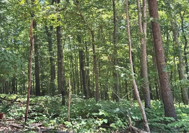 14th image of 808 Neely Rd, Asheboro, NC 27205 | MLS# 1222010