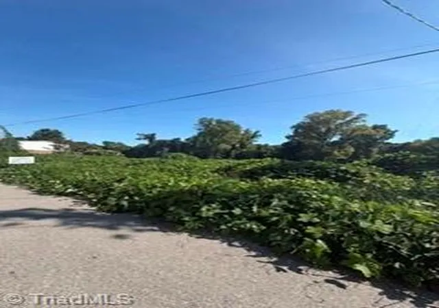 Photo 1 of Land for sale at 000 Willow St, Reidsville, NC 27320 | MLS# 1233417 | Listing updated on 2026-08-26
