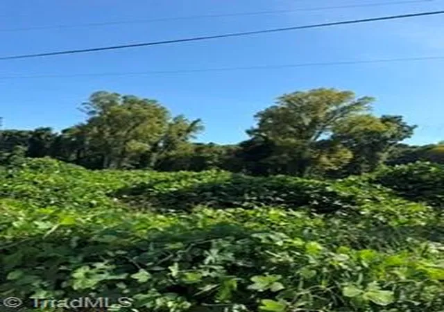 Photo 2 of Land for sale at 000 Willow St, Reidsville, NC 27320 | MLS# 1233417 | Listing updated on 2026-08-26