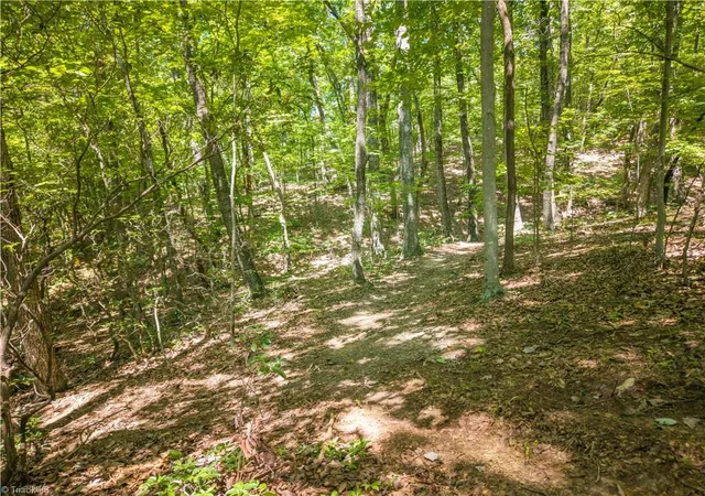 Photo 4 of Land for sale at 185 Boaz Ln, Mount Airy, NC 27030 | MLS# 1233279 | Listing updated on 2026-08-26