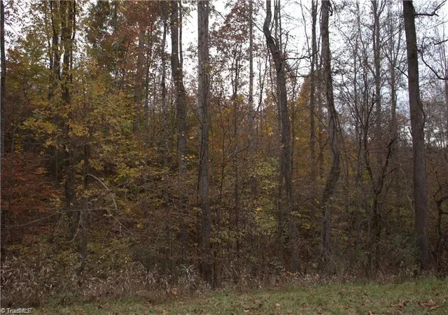 Photo 3 of Land for sale at 00 Griffin Rd, Stokesdale, NC 27357 | MLS# 1215273 | Listing updated on 2026-07-04