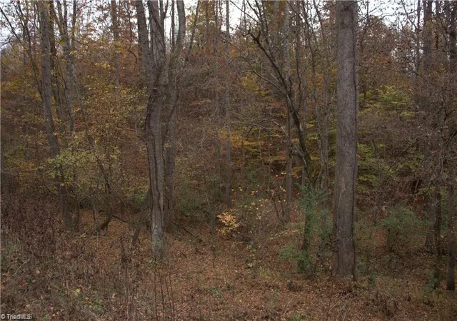 Photo 4 of Land for sale at 00 Griffin Rd, Stokesdale, NC 27357 | MLS# 1215273 | Listing updated on 2026-07-04