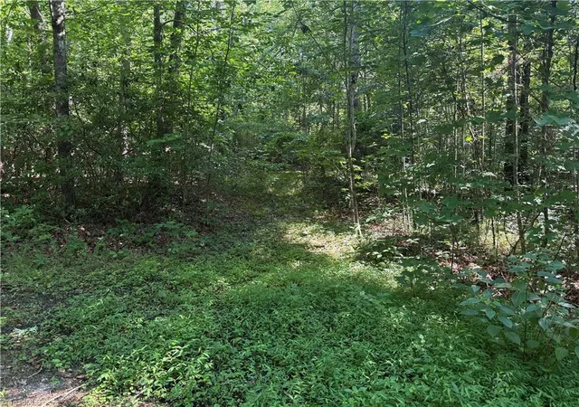 image of 3032 Hauser Rd, East Bend, NC 27018 | MLS# 1227411