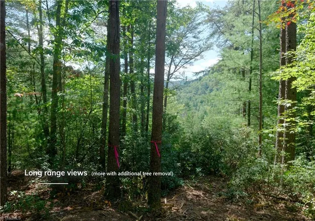 3rd image of 1960 Rich Mountain Rd, Morganton, NC 28655 | MLS# 1200006
