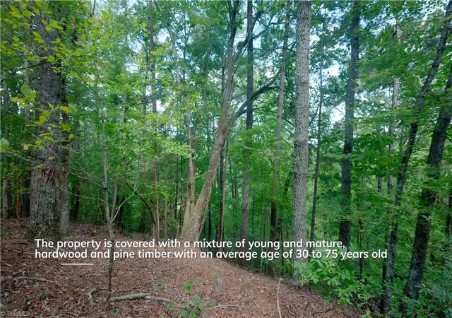 5th image of 1960 Rich Mountain Rd, Morganton, NC 28655 | MLS# 1200006