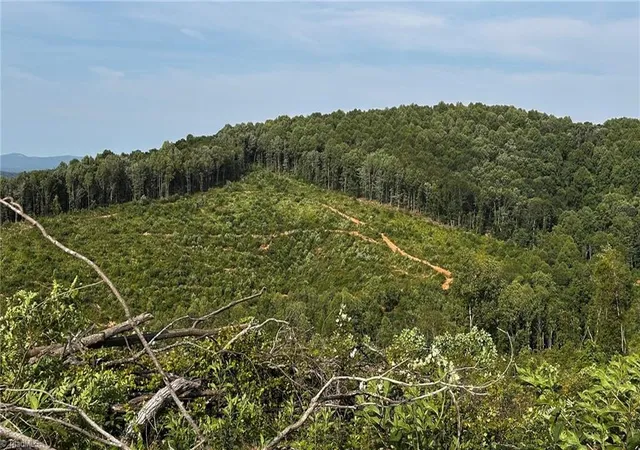 4th image of Tbd Hose Rd, Moravian Falls, NC 28654 | MLS# 1226204