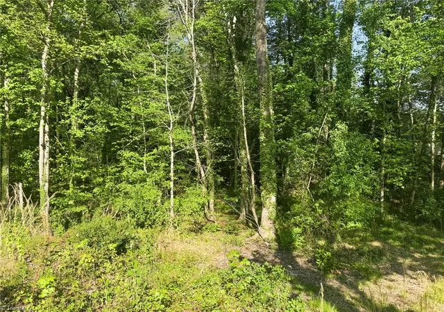 3rd image of 2139 Westminister Ln, Winston Salem, NC 27106 | MLS# 1215710