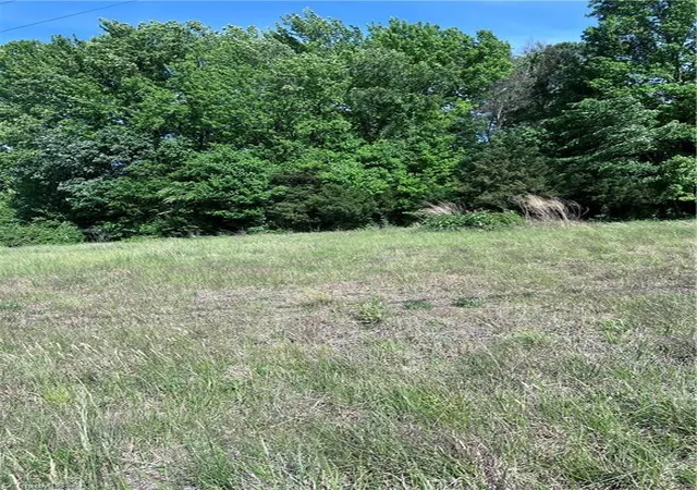 Homes for sale in Trinity, NC | 0 County Line Rd, Trinity, NC 27370 | MLS# 1218718