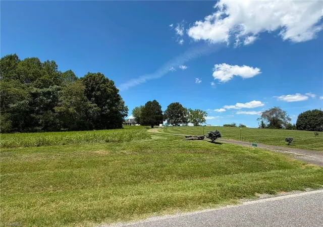 50th image of 1207 Grassy Creek Rd, Pinnacle, NC 27043 | MLS# 1230161