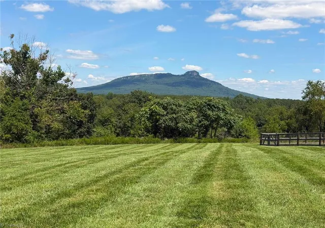 5th image of 1207 Grassy Creek Rd, Pinnacle, NC 27043 | MLS# 1230161