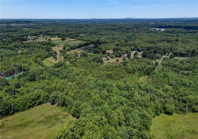 10th image of 0000 Nc Hwy 135, Stoneville, NC 27048 | MLS# 1227583