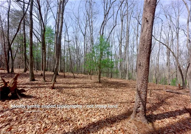 3rd image of 0 Johnson Farm Rd #2, Pilot Mountain, NC 27041 | MLS# 1228330
