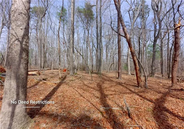 4th image of 0 Johnson Farm Rd #2, Pilot Mountain, NC 27041 | MLS# 1228330