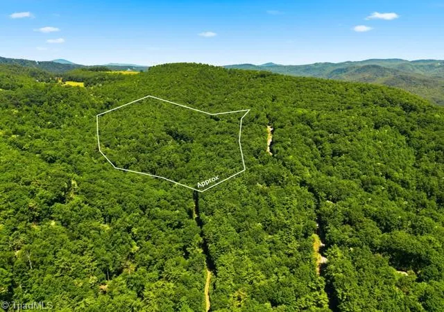 20th image of 1187 Timber Ridge Rd, Millers Creek, NC 28651 | MLS# 1226409