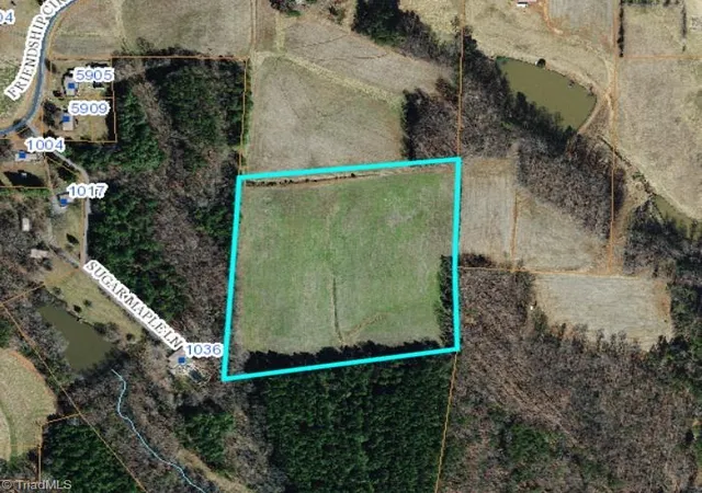13th image of 0 Friendship Circle Rd, East Bend, NC 27018 | MLS# 1227421