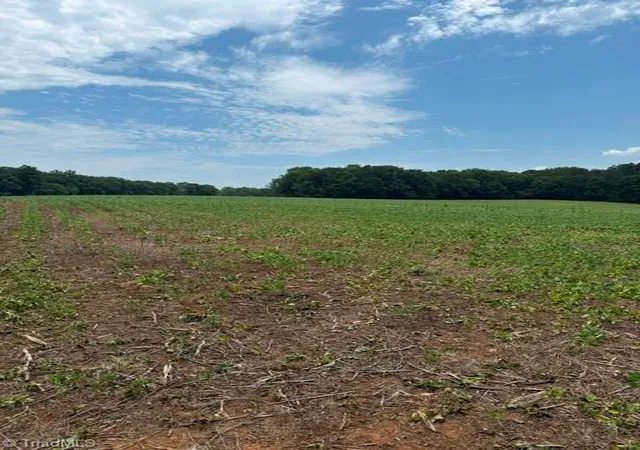 image of 0 Friendship Circle Rd, East Bend, NC 27018 | MLS# 1227421