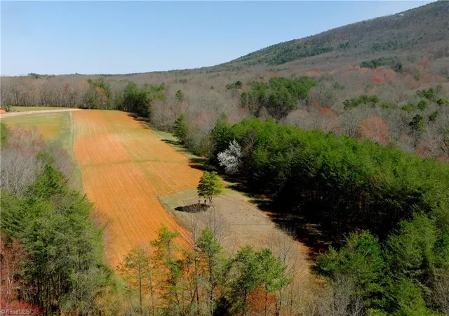 3rd image of 5 Old Mill Rd, Pinnacle, NC 27043 | MLS# 1230432