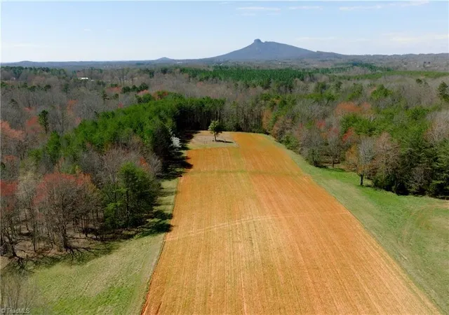 4th image of 5 Old Mill Rd, Pinnacle, NC 27043 | MLS# 1230432