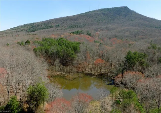 5th image of 5 Old Mill Rd, Pinnacle, NC 27043 | MLS# 1230432