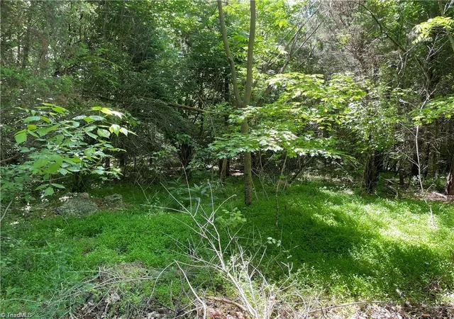 Photo 3 of Land for sale at 00 Thompson Rd, Graham, NC 27253 | MLS# 1230883 | Listing updated on 2026-09-16