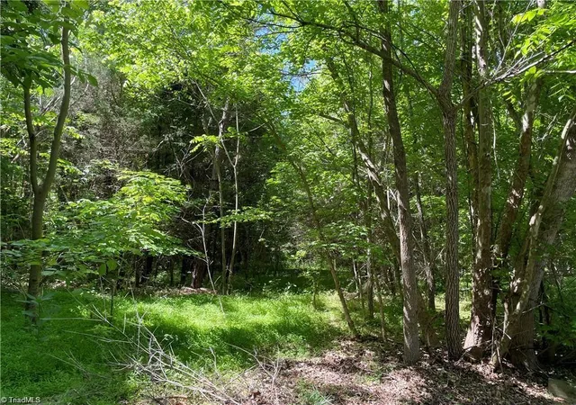 Photo 3 of Land for sale at 00 Thompson Rd, Graham, NC 27253 | MLS# 1230883 | Listing updated on 2026-09-16