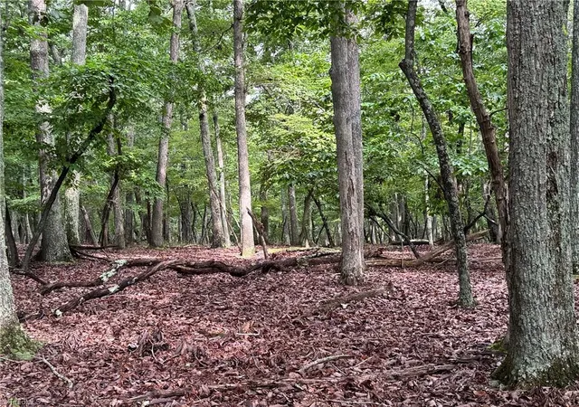 Photo 1 of Land for sale at 1695 Sierra Tr Rd, Denton, NC 27239 | MLS# 1187814 | Listing updated on 2026-07-15