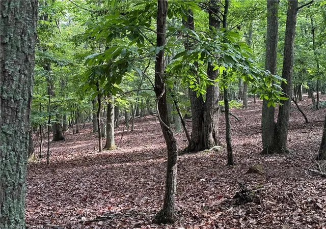 Photo 2 of Land for sale at 1695 Sierra Tr Rd, Denton, NC 27239 | MLS# 1187814 | Listing updated on 2026-07-15