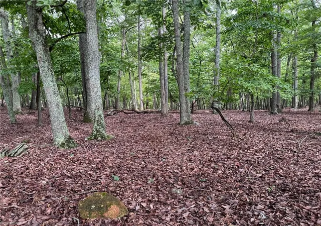 Photo 3 of Land for sale at 1695 Sierra Tr Rd, Denton, NC 27239 | MLS# 1187814 | Listing updated on 2026-07-15