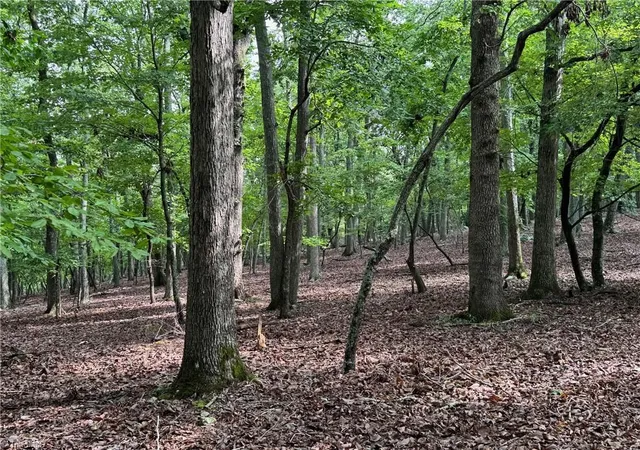 Photo 3 of Land for sale at 1695 Sierra Tr Rd, Denton, NC 27239 | MLS# 1187814 | Listing updated on 2026-07-15