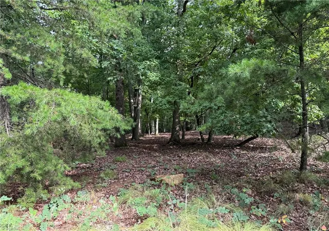 Photo 4 of Land for sale at 1695 Sierra Tr Rd, Denton, NC 27239 | MLS# 1187814 | Listing updated on 2026-07-15