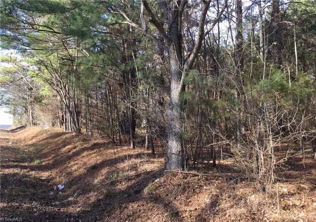 Photo 2 of Sale Pending at 0 Lambert Rd, Graham, NC 27253 | MLS# 1207372 | Listing updated on 2026-04-10