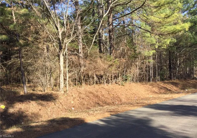 Photo 3 of Sale Pending at 0 Lambert Rd, Graham, NC 27253 | MLS# 1207372 | Listing updated on 2026-04-10
