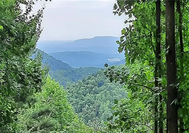 Photo 1 of Land for sale at Lot 15 Dogwood Rd, Moravian Falls, NC 28654 | MLS# 1154914 | Listing updated on 2026-02-25