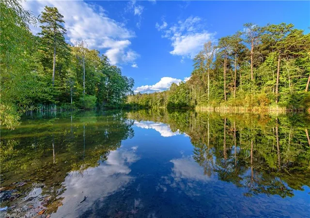 46th image of 9652 Lissara Camp Ct, Lewisville, NC 27023 | MLS# 1229955