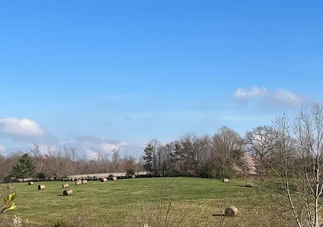 Photo 3 of Land for sale at 00 Friends Mission Rd, Ararat, VA 24053 | MLS# 1229274 | Listing updated on 2026-07-28