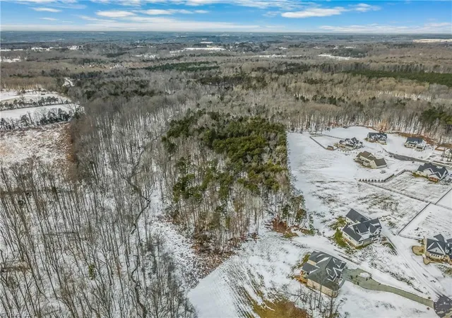 1st image of 0 Fork Bixby Rd, Advance, NC 27006 | MLS# 1208656