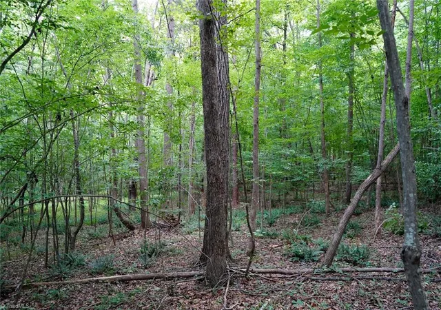 Photo 3 of Land for sale at 220 Austin Ln, Stokesdale, NC 27357 | MLS# 1226513 | Listing updated on 2026-07-03