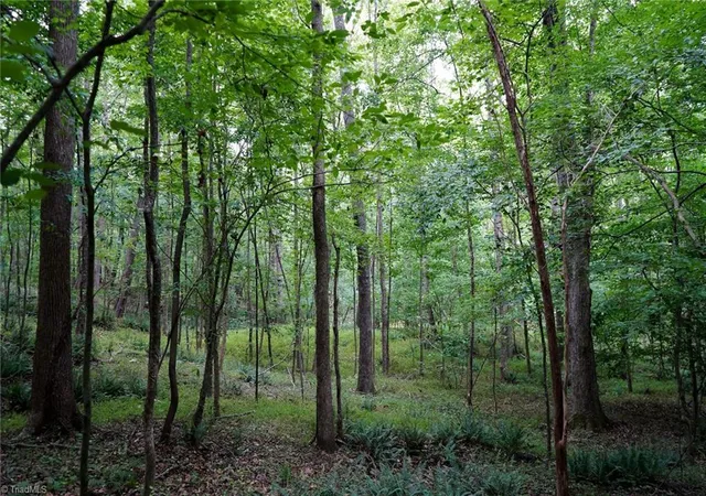Photo 3 of Land for sale at 220 Austin Ln, Stokesdale, NC 27357 | MLS# 1226513 | Listing updated on 2026-07-03
