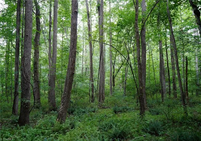 Photo 4 of Land for sale at 220 Austin Ln, Stokesdale, NC 27357 | MLS# 1226513 | Listing updated on 2026-07-03