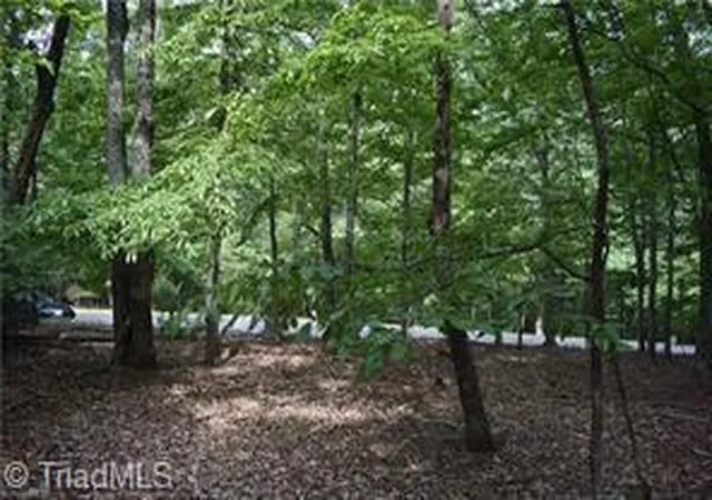 Photo 10 of Land for sale at 71 Grandview Dr, Traphill, NC 28685 | MLS# 1231805 | Listing updated on 2026-08-19