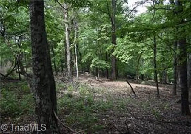 Photo 1 of Land for sale at 71 Grandview Dr, Traphill, NC 28685 | MLS# 1231805 | Listing updated on 2026-08-19