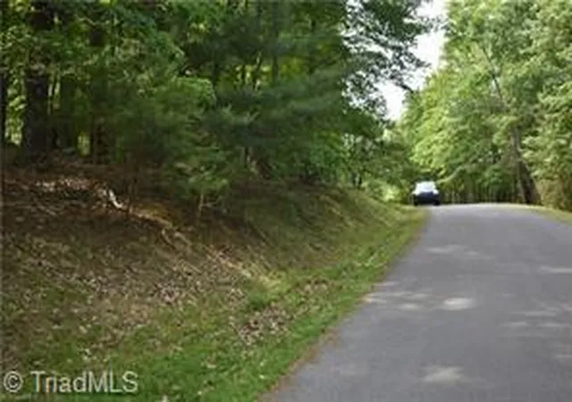 Photo 5 of Land for sale at 71 Grandview Dr, Traphill, NC 28685 | MLS# 1231805 | Listing updated on 2026-08-19