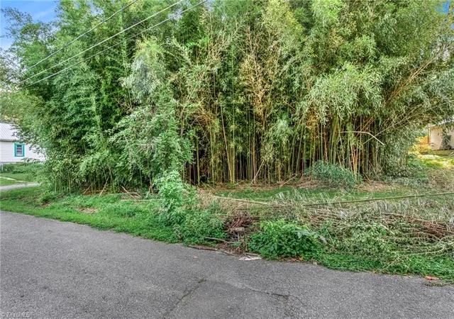 Photo 2 of Land for sale at Tbd Merrimac St, Winston Salem, NC 27105 | MLS# 1233915 | Listing updated on 2026-08-28