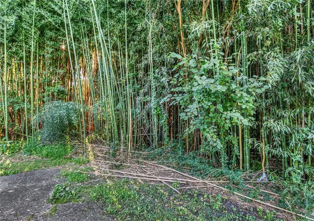 Photo 3 of Land for sale at Tbd Merrimac St, Winston Salem, NC 27105 | MLS# 1233915 | Listing updated on 2026-08-28