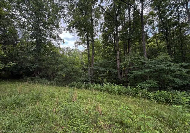Homes for sale in Westfield, NC | 1215 Lucius Beasley Rd, Westfield, NC 27053 | MLS# 1226353