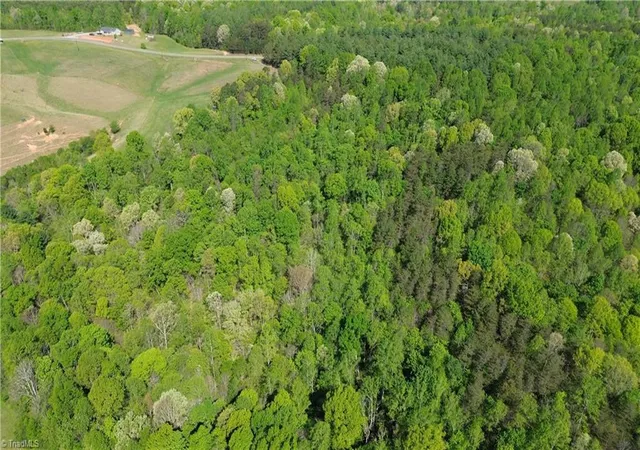 Homes for sale in Westfield, NC | 00 Tom Mix Rd, Westfield, NC 27053 | MLS# 1216711