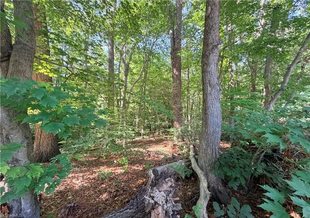 Photo 8 of Land for sale at Lot 44 Cemetery St, Ronda, NC 28670 | MLS# 1223061 | Listing updated on 2026-06-05